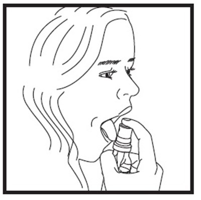 Figure D.jpg Figure D